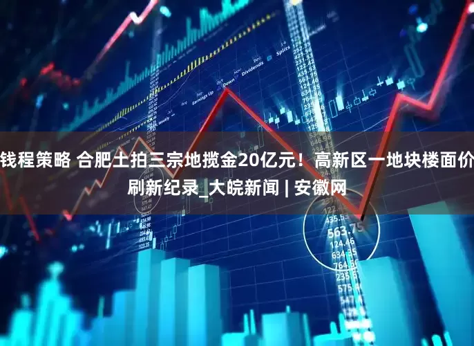钱程策略 合肥土拍三宗地揽金20亿元！高新区一地块楼面价刷新纪录_大皖新闻 | 安徽网