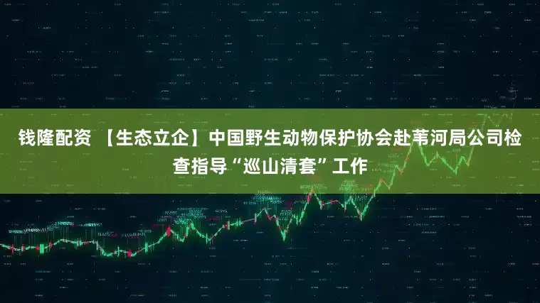 钱隆配资 【生态立企】中国野生动物保护协会赴苇河局公司检查指导“巡山清套”工作