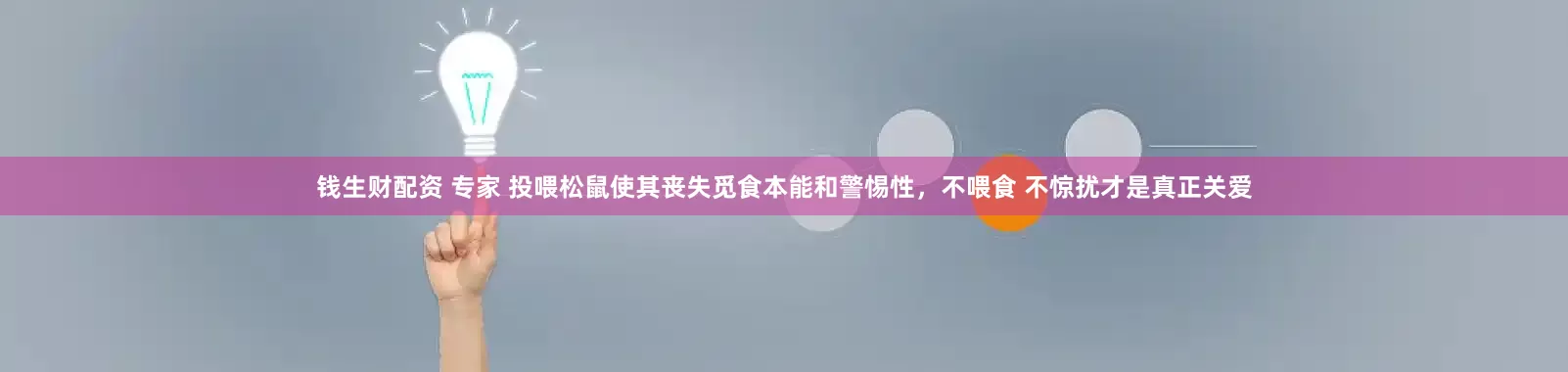 钱生财配资 专家 投喂松鼠使其丧失觅食本能和警惕性，不喂食 不惊扰才是真正关爱